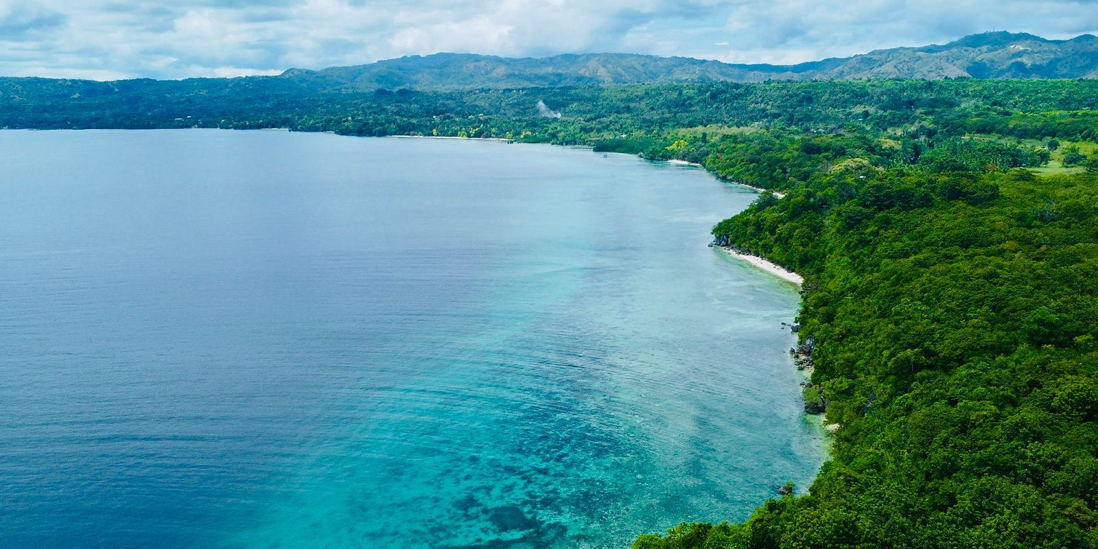 The coast of Siquijor from above